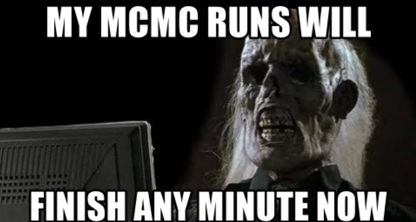 Me waiting on my MCMC runs